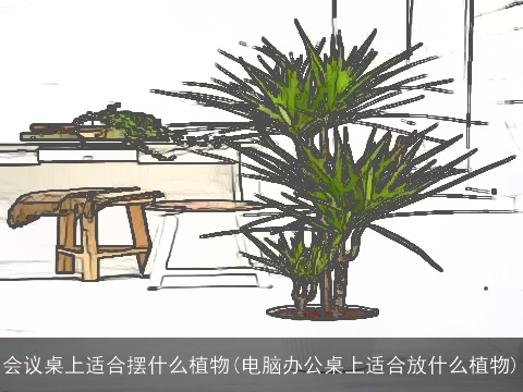 会议桌上适合摆什么植物(电脑办公桌上适合放什么植物)