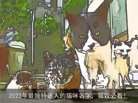 2023年最独特迷人的猫咪名字，猫奴必看！