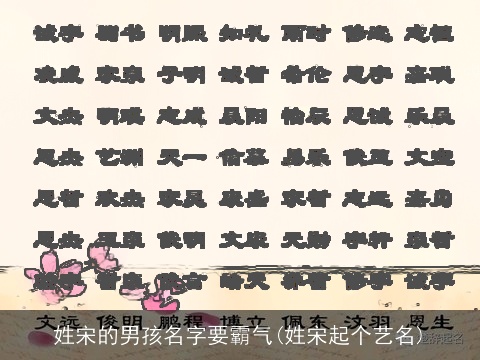 姓宋的男孩名字要霸气(姓宋起个艺名)