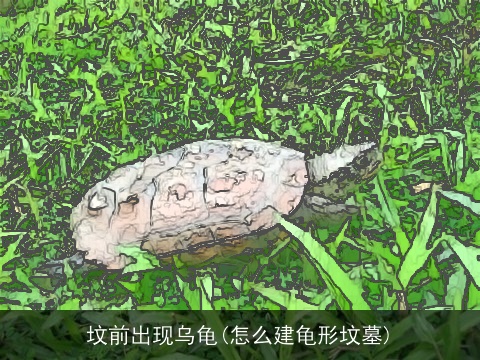 坟前出现乌龟(怎么建龟形坟墓)