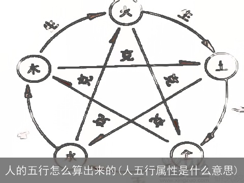 人的五行怎么算出来的(人五行属性是什么意思)