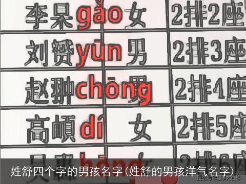 姓舒四个字的男孩名字(姓舒的男孩洋气名字)