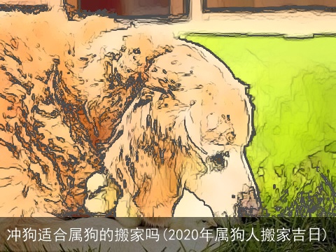 冲狗适合属狗的搬家吗(2020年属狗人搬家吉日)