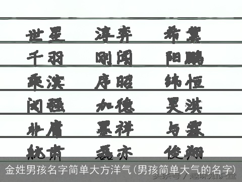 金姓男孩名字简单大方洋气(男孩简单大气的名字)