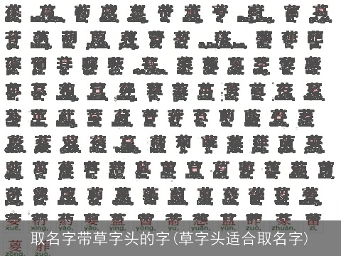 取名字带草字头的字(草字头适合取名字)