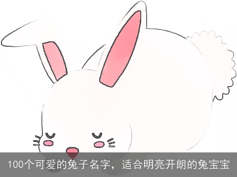 100个可爱的兔子名字，适合明亮开朗的兔宝宝