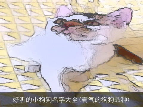 好听的小狗狗名字大全(霸气的狗狗品种)