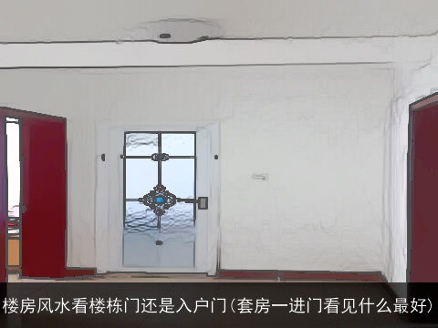 楼房风水看楼栋门还是入户门(套房一进门看见什么最好)
