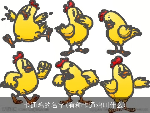 卡通鸡的名字(有种卡通鸡叫什么)