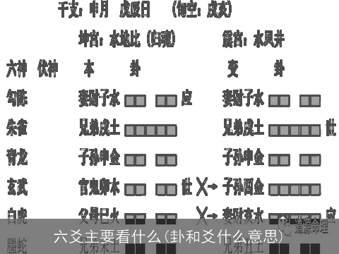 六爻主要看什么(卦和爻什么意思)