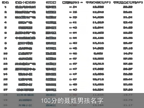 100分的聂姓男孩名字