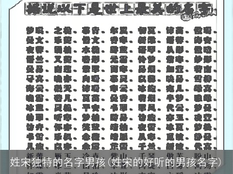 姓宋独特的名字男孩(姓宋的好听的男孩名字)