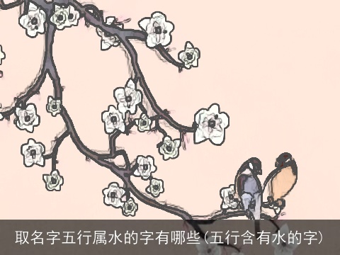 取名字五行属水的字有哪些(五行含有水的字)