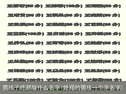 男孩子姓郑取什么名字(姓郑的男孩一个字名字)