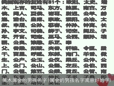 属木属金的男孩名字(属金的男孩名字寓意好的字)