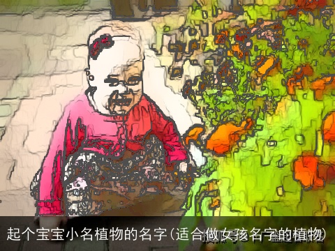 起个宝宝小名植物的名字(适合做女孩名字的植物)