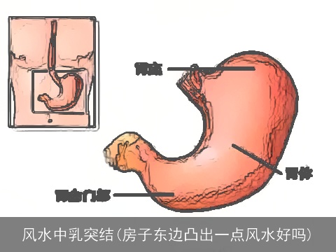 风水中乳突结(房子东边凸出一点风水好吗)