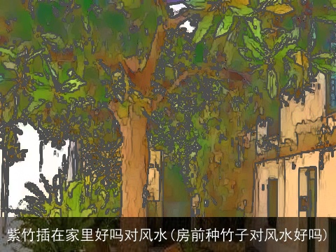 紫竹插在家里好吗对风水(房前种竹子对风水好吗)