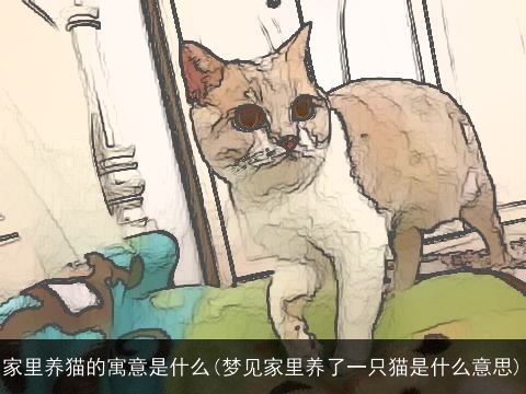 家里养猫的寓意是什么(梦见家里养了一只猫是什么意思)