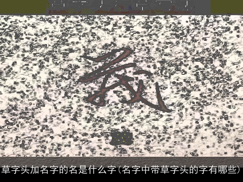 草字头加名字的名是什么字(名字中带草字头的字有哪些)