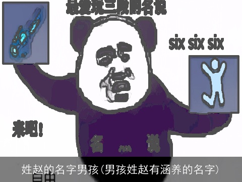 姓赵的名字男孩(男孩姓赵有涵养的名字)
