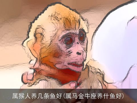 属猴人养几条鱼好(属马金牛座养什鱼好)