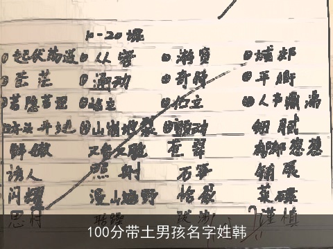 100分带土男孩名字姓韩