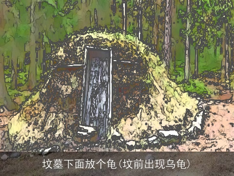 坟墓下面放个龟(坟前出现乌龟)