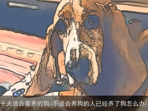十大适合家养的狗(不适合养狗的人已经养了狗怎么办)
