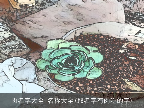 肉名字大全 名称大全(取名字有肉吃的字)