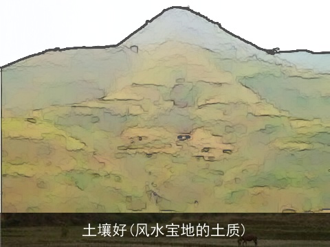 土壤好(风水宝地的土质)