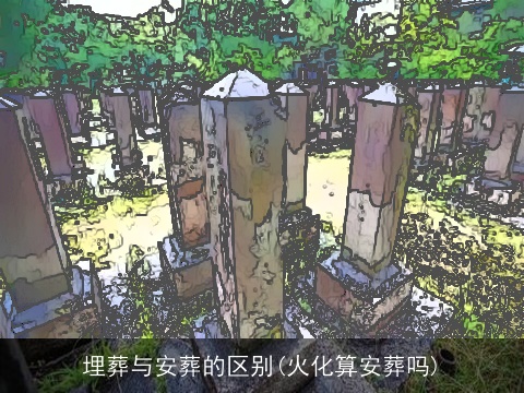 埋葬与安葬的区别(火化算安葬吗)