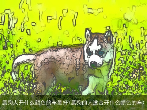 属狗人开什么颜色的车最好(属狗的人适合开什么颜色的车)