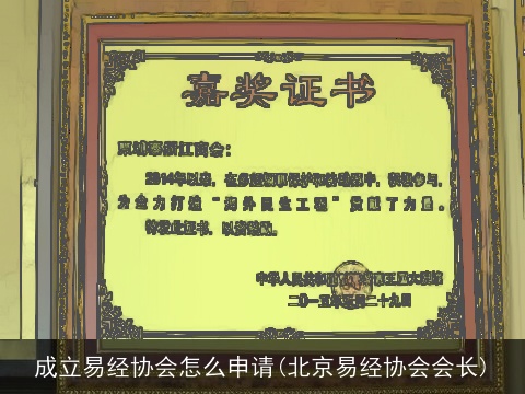 成立易经协会怎么申请(北京易经协会会长)