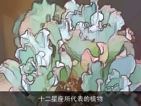 十二星座所代表的植物