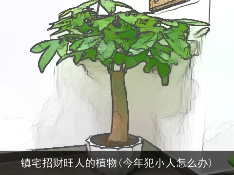 镇宅招财旺人的植物(今年犯小人怎么办)