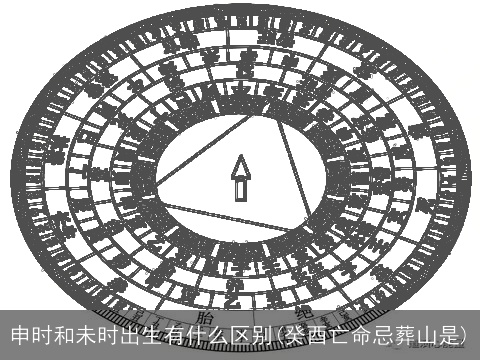 申时和未时出生有什么区别(癸酉亡命忌葬山是)