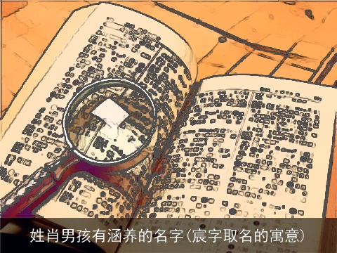 姓肖男孩有涵养的名字(宸字取名的寓意)