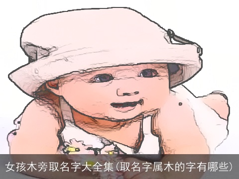 女孩木旁取名字大全集(取名字属木的字有哪些)