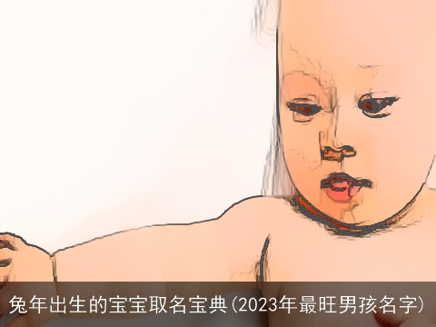 兔年出生的宝宝取名宝典(2023年最旺男孩名字)