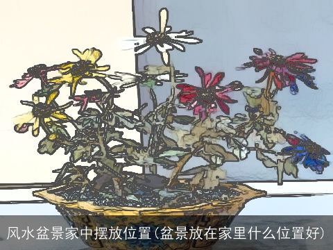 风水盆景家中摆放位置(盆景放在家里什么位置好)