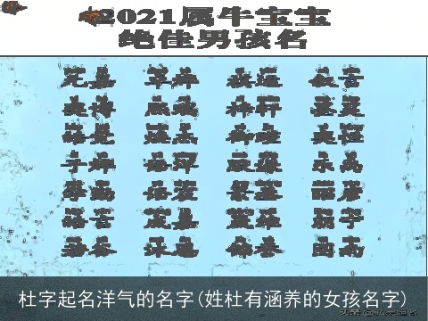 杜字起名洋气的名字(姓杜有涵养的女孩名字)