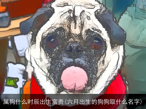 属狗什么时辰出生富贵(六月出生的狗狗取什么名字)