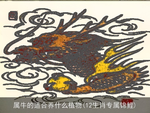 属牛的适合养什么植物(12生肖专属锦鲤)