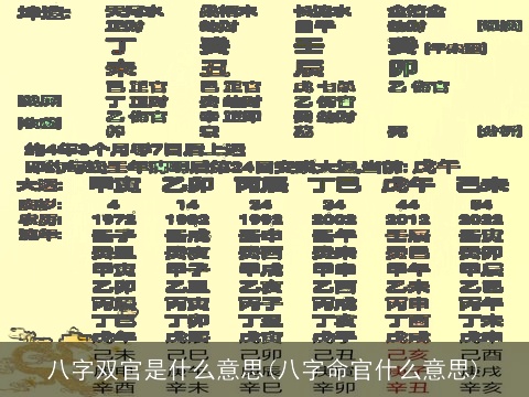 八字双官是什么意思(八字命官什么意思)