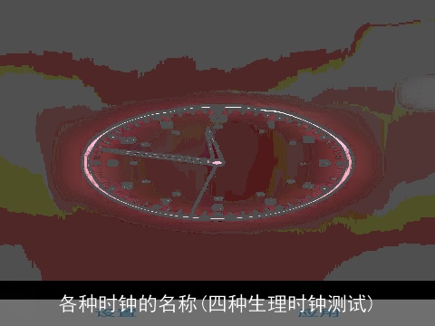 各种时钟的名称(四种生理时钟测试)
