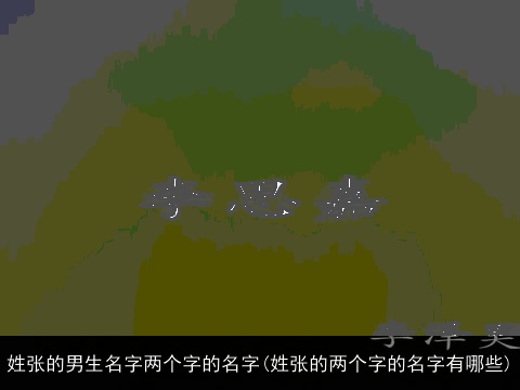 姓张的男生名字两个字的名字(姓张的两个字的名字有哪些)