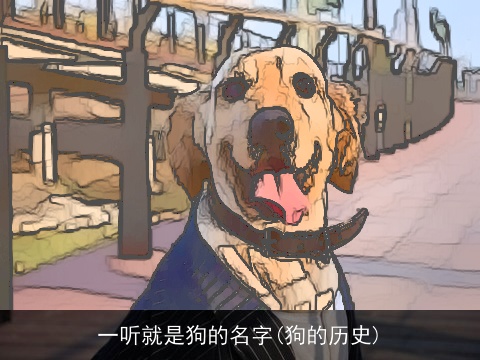 一听就是狗的名字(狗的历史)