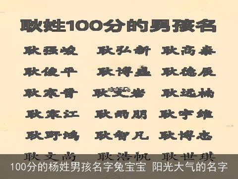 100分的杨姓男孩名字兔宝宝 阳光大气的名字
