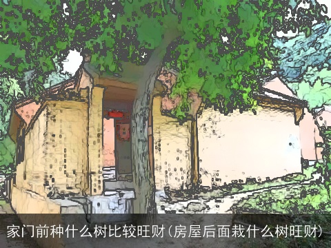 家门前种什么树比较旺财(房屋后面栽什么树旺财)